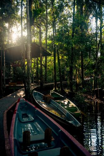 two boats are docked in the water in a forest at Jamu Lodge in the Cuyabeno Wildlife Reserve in Cuyavenus