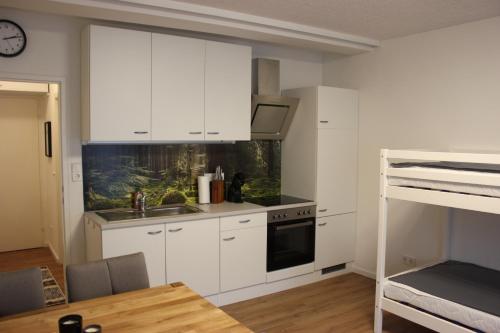 Gemütliches 4er Apartment in Skilift-Nähe