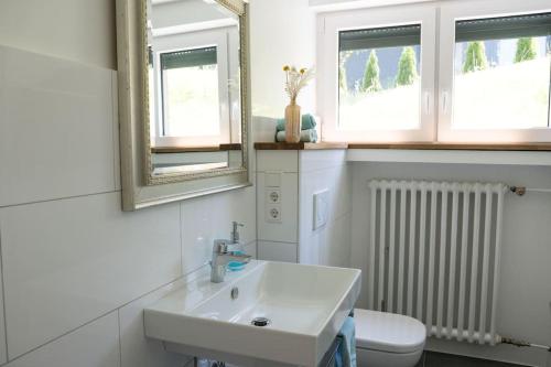 een badkamer met een wastafel en een toilet en 2 ramen bij Ferien in Neviges in Velbert