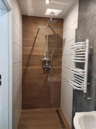 a bathroom with a shower and a sink at Dom Na Brzoskwiniowej in Ustroń