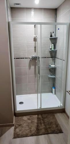 une douche avec une porte vitrée dans une salle de bain dans l'établissement Maison duplex de ville avec terrasse et clim, à Foucherans
