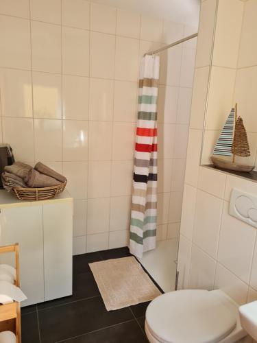 a bathroom with a toilet and a shower at Ferienwohnung Unterhubers in Spabrücken