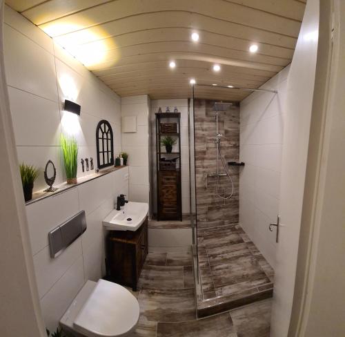 a bathroom with a shower and a toilet and a sink at Gemütlich mit Blick auf die Burg.Autobahnanbindung in Untergruppenbach