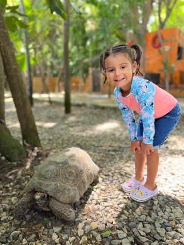 a little girl standing next to a turtle at Hostería Ecológica El Faro in Salinas