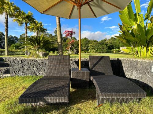 two chairs and an umbrella on the grass at The Lava Bali Villa and Hot Spring in Kintamani