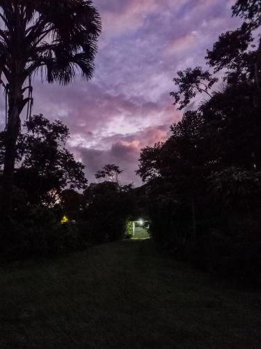 a dark field with trees and a cloudy sky at Wandari Lodge in Quince Mil