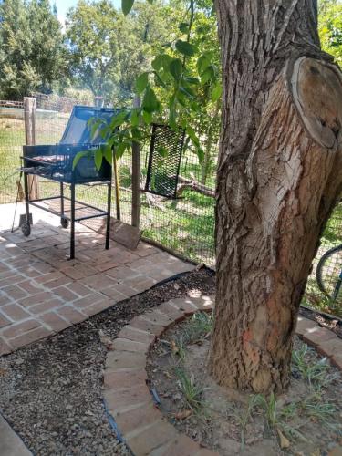 El ancla – Photos 3