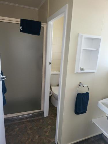 Bilik mandi di Totara Lodge Motel
