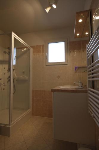une salle de bain avec douche et lavabo dans l'établissement Cottage in Lagorce, à Lagorce
