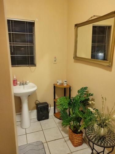 a bathroom with a sink and a mirror and plants at Mid City Fun in New Orleans