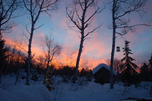 Forest Hideout – Photos 2