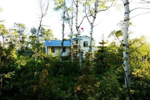 Forest Hideout – Photos 4
