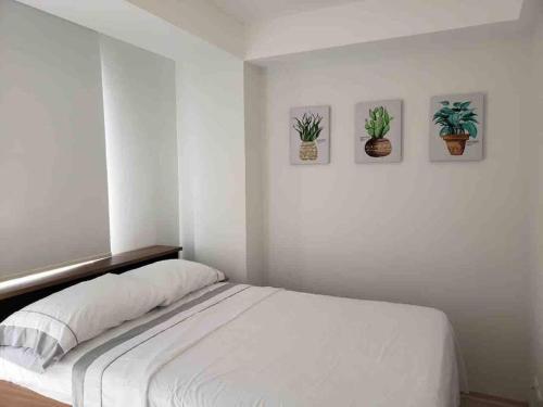 1 dormitorio blanco con 3 macetas en la pared en Apartamento pequeño y acogedor muy bien ubicado., en Quito