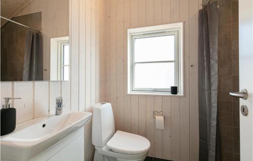 a bathroom with a toilet and a sink and a window at 3 Bedroom Awesome Home In Hasle in Hasle