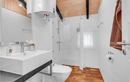 a white bathroom with a toilet and a shower at 3 Bedroom Awesome Home In Middelfart in Middelfart