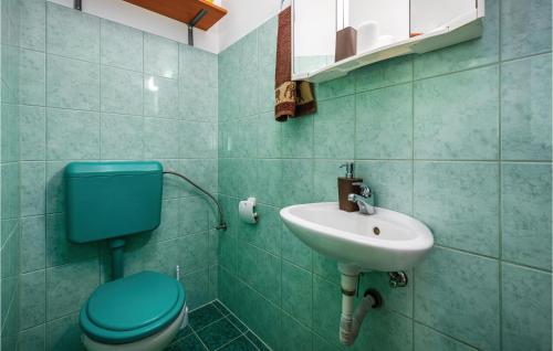 een badkamer met een blauw toilet en een wastafel bij Nice Home In Svetvincenat With Outdoor Swimming Pool in Svetvinčenat
