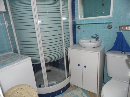 une salle de bain avec une douche, des toilettes et un lavabo dans l'établissement Duplex 2 pièces avec terrasse, parking privé et tout équipé pour 4 personnes - FR-1-326-451, à Marseillan