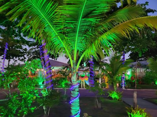 a palm tree decorated with lights at night at Boa Beach House in Porto Seguro