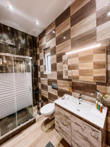 a bathroom with a toilet and a sink and a shower at Galini Studios Paralia Platanou in Akrata