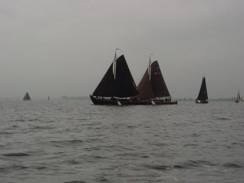 a group of sailboats on a large body of water at B&B Veluwemeerpension in Nunspeet