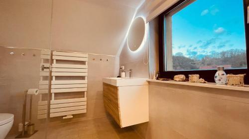 een badkamer met een raam, een wastafel en een toilet bij AR Apartments I 4 Pers I Prime I Küche I WLAN I Office in Rudolstadt