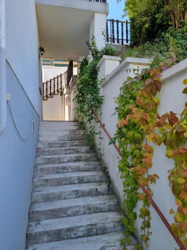 a staircase leading up to a building with plants at Appartement "Toni" in Neustift an der Rosalia