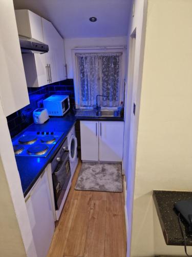 una piccola cucina con lavandino e piano cottura di Cosy Studio Apartment In FULHAM a Londra