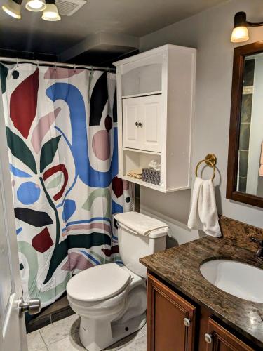 uma casa de banho com um WC e uma cortina de chuveiro em Chicago Home 6 bd 4 ba home with 2 car garage parking em Chicago
