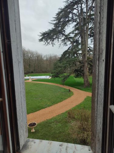 een uitzicht vanuit een raam van een park met een boom bij Château le haut villaumay in Auzouer-en-Touraine