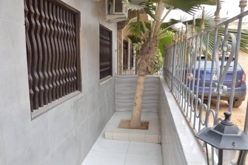 a palm tree sitting on a porch with a fence at Maison d'Hôtes entière Cité Douane Golf Dakar in Dakar