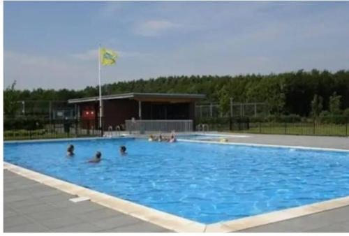 a group of people in a large swimming pool at Big Family villa 12p big garden with bathtub and jacuzzi in Zeewolde
