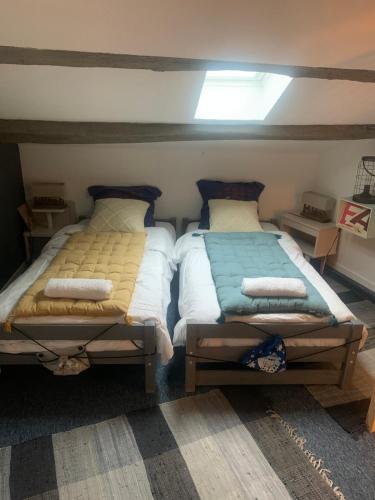 deux lits jumeaux dans une chambre avec dans l'établissement La Petite Adresse de Rose Maison de vacances Entrée autonome, à Le Poujol-sur-Orb