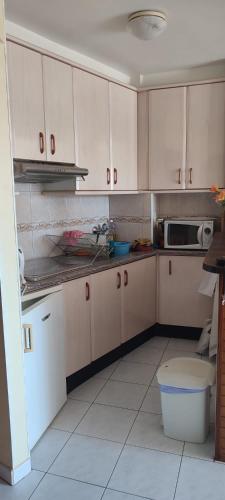 een keuken met witte kasten, een wastafel en een magnetron bij EDIFICIO PAOLA V CALLE PINTOR SOROLLA 18, VERDIEP 5, deur 3 in Calpe