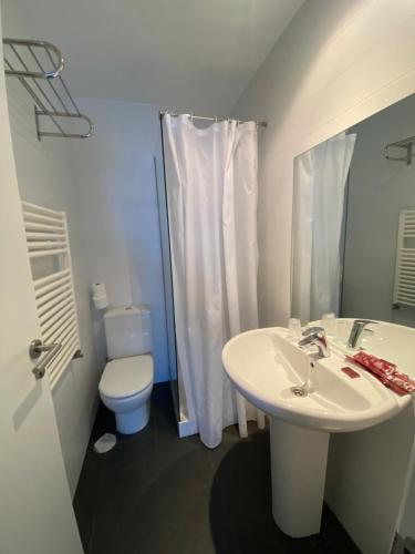 a bathroom with a sink and a toilet and a shower at Hostal La Pinilla in Segovia