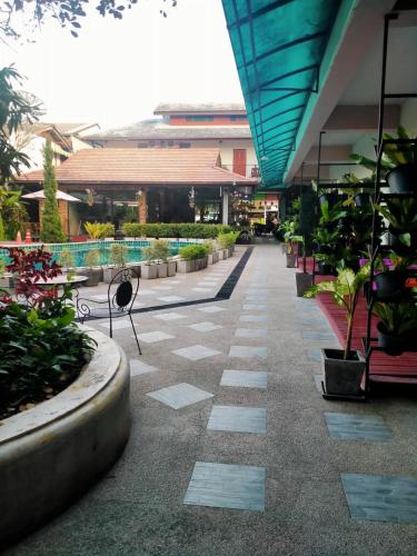 a courtyard with potted plants in a building at Medio De Pai in Pai