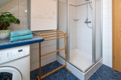 ノルトダイヒにあるFerienhaus Kippのバスルーム(シャワー、洗濯機付)
