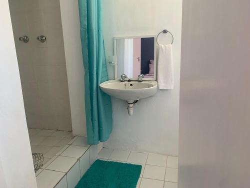 a bathroom with a sink and a mirror at Framesby Guesthouse in Port Elizabeth