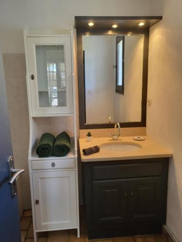 a bathroom with a sink and a mirror at Studio en pleine campagne in Le Thor