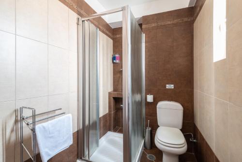 a small bathroom with a toilet and a shower at Dialiskari Villas in Marathopolis