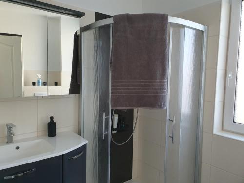 uma casa de banho com um chuveiro e uma toalha castanha em Moderne Ferienwohnung mit Balkon direkt an der Peene em Ziemitz