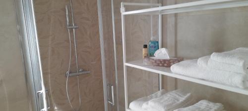 y baño con ducha y toallas en un estante. en Locazione turistica SAN GIORGIO, en Putignano