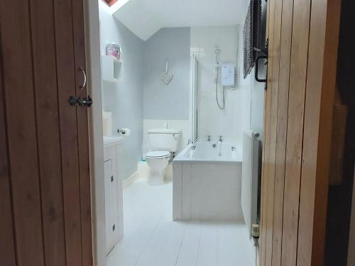 a white bathroom with a toilet and a sink at Bronhaul in Llanbrynmair