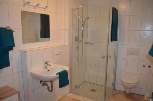 a bathroom with a shower and a sink and a toilet at Haseltopf in Oberstdorf