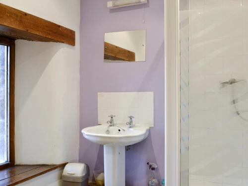 a bathroom with a sink and a shower at Foxcote New Court Farm in Marstow