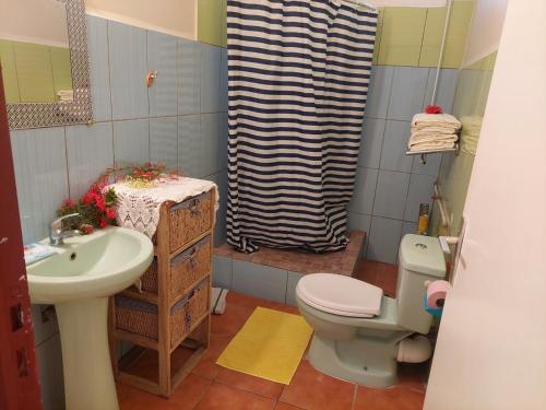 een badkamer met een wastafel, een toilet en een douche bij UNE SEULE ENVIE, CELLE D'Y REVENIR in Les Anses-dʼArlets