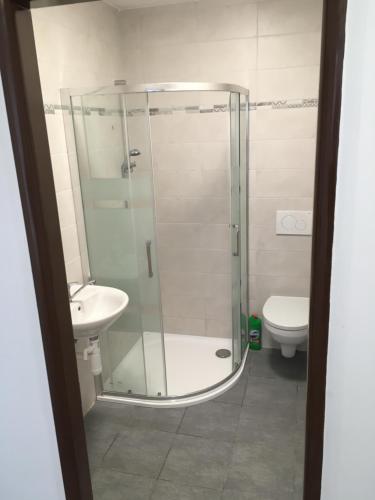 een badkamer met een douche, een wastafel en een toilet bij Apartmány U Hadiny in Humpolec