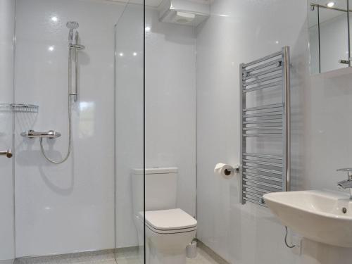 a bathroom with a shower and a toilet and a sink at Greengill Farm Holiday Cottage - Ukc2768 in Gilcrux