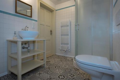 a bathroom with a sink and a toilet at Bona Terra in Horní Věstonice