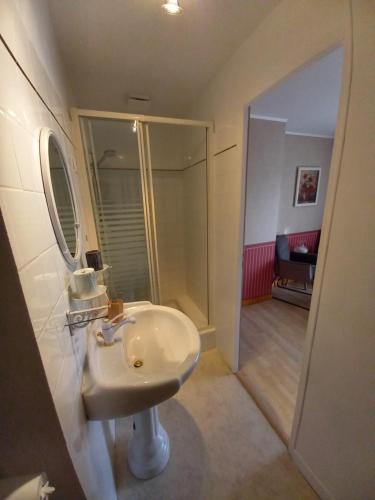 a white bathroom with a sink and a shower at Chambre d'hôtes Saumur-Champigny 2 personnes in Montreuil-Bellay