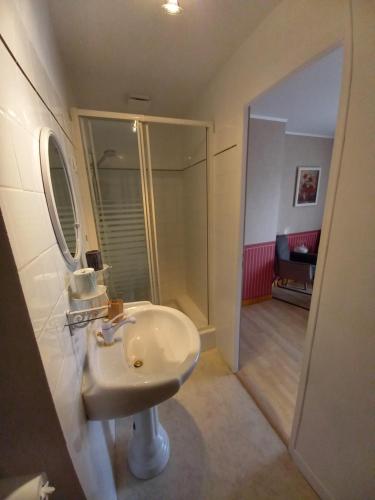 une salle de bain blanche avec un lavabo et une douche dans l'établissement Chambre d'hôtes Saumur-Champigny 2 personnes, à Montreuil-Bellay